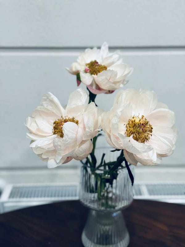 辛弃疾 - 2024.5.15