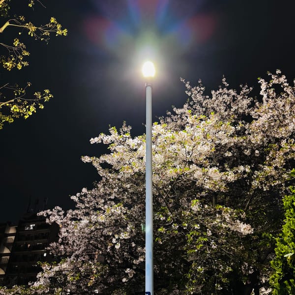 Miss you - 2025.4.17