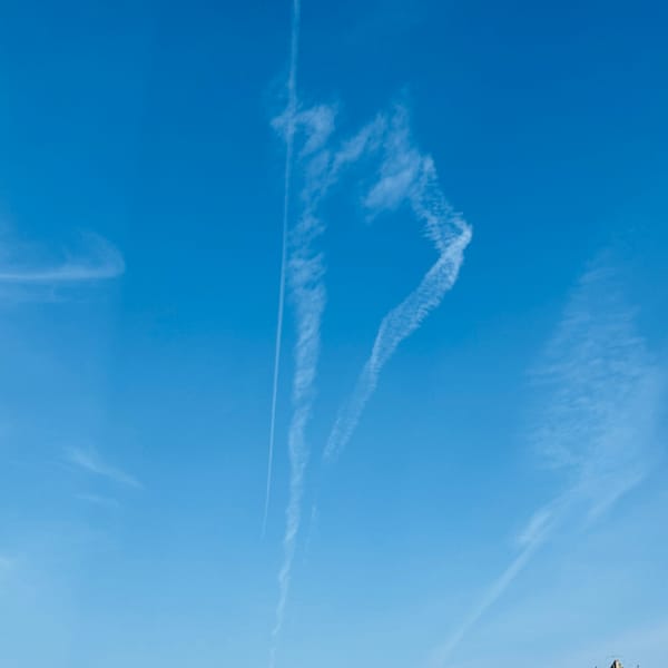 Wish List 💗 【秘】